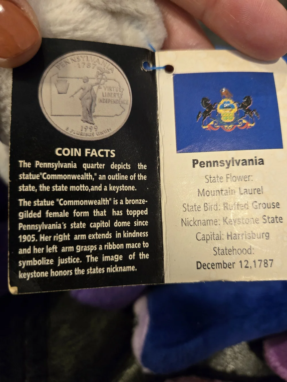 Limited Edition State Quarter Coin Bears – Collectible Plush  – Good - Picture 9 of 9